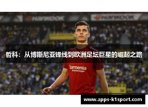 哲科：从博斯尼亚锋线到欧洲足坛巨星的崛起之路