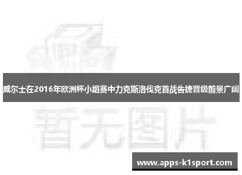 威尔士在2016年欧洲杯小组赛中力克斯洛伐克首战告捷晋级前景广阔