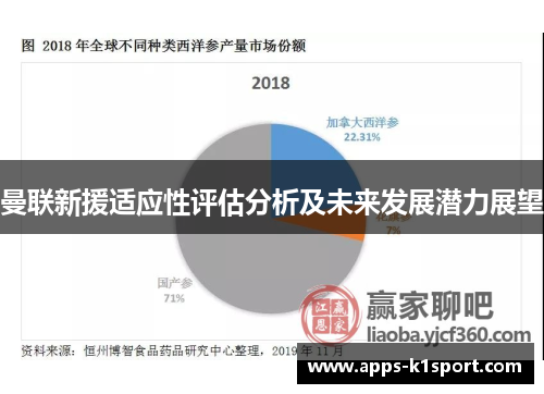 曼联新援适应性评估分析及未来发展潜力展望