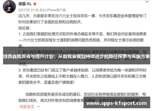球员自我反省与提升计划：从自我审视到持续进步的路径探索与实施方案