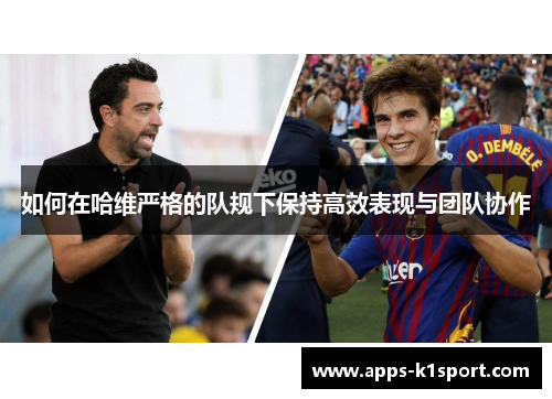 如何在哈维严格的队规下保持高效表现与团队协作