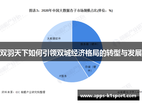 双羽天下如何引领双城经济格局的转型与发展