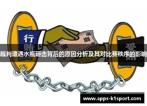 裁判遭遇水瓶砸击背后的原因分析及其对比赛秩序的影响