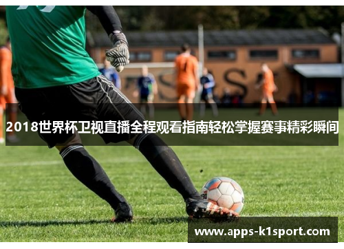 2018世界杯卫视直播全程观看指南轻松掌握赛事精彩瞬间